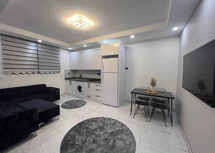 Artemis Deluxe Apart ホテル *