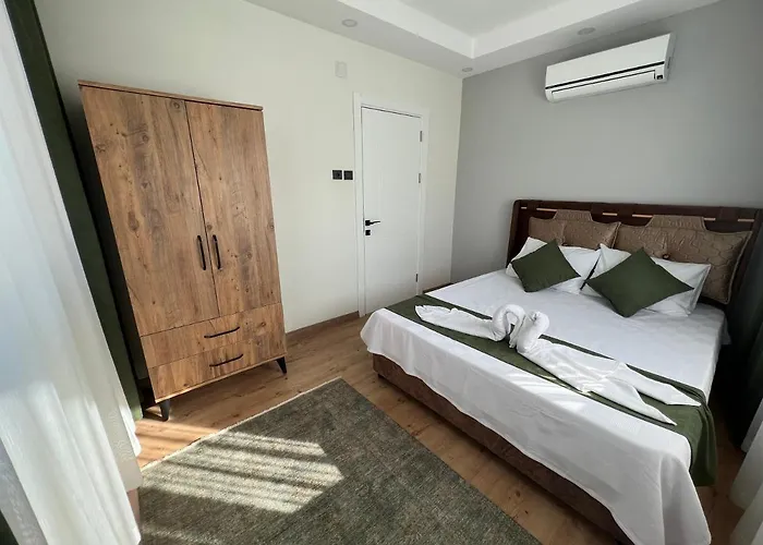 ホテル Artemis Deluxe Apart *