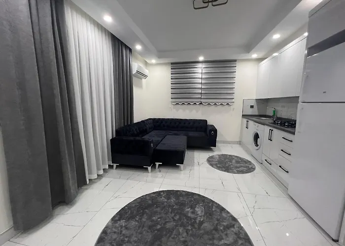 Artemis Deluxe Apart ホテル