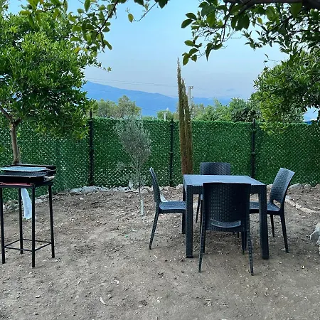 Artemis Deluxe Apart *